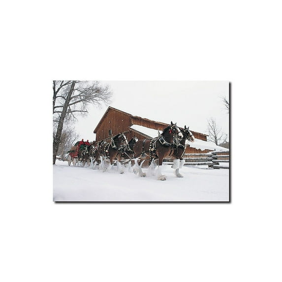 Trademark Fine Art "Budweiser Clydesdales Snowing in Front of a Barn" Canvas Art