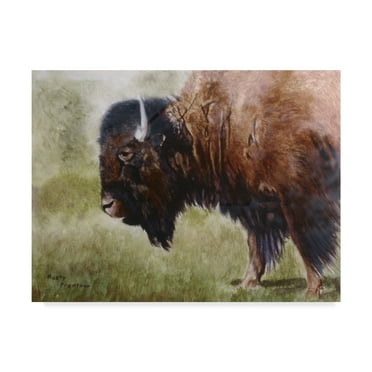 Trademark Fine Art 'Buffalo' Canvas Art by Rusty Frentner