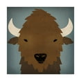 thumbnail image 1 of Trademark Fine Art 'Buffalo II' Canvas Art by Ryan Fowler, 1 of 3