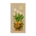 thumbnail image 1 of Trademark Fine Art ' Bulbs in Bloom' Canvas Art by Barbara Mock, 1 of 3