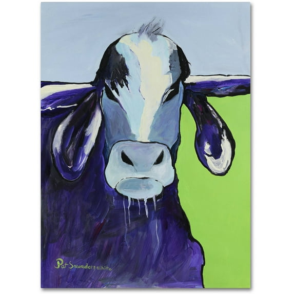 Trademark Fine Art "Bull Drool" Canvas Art by Pat Saunders-White