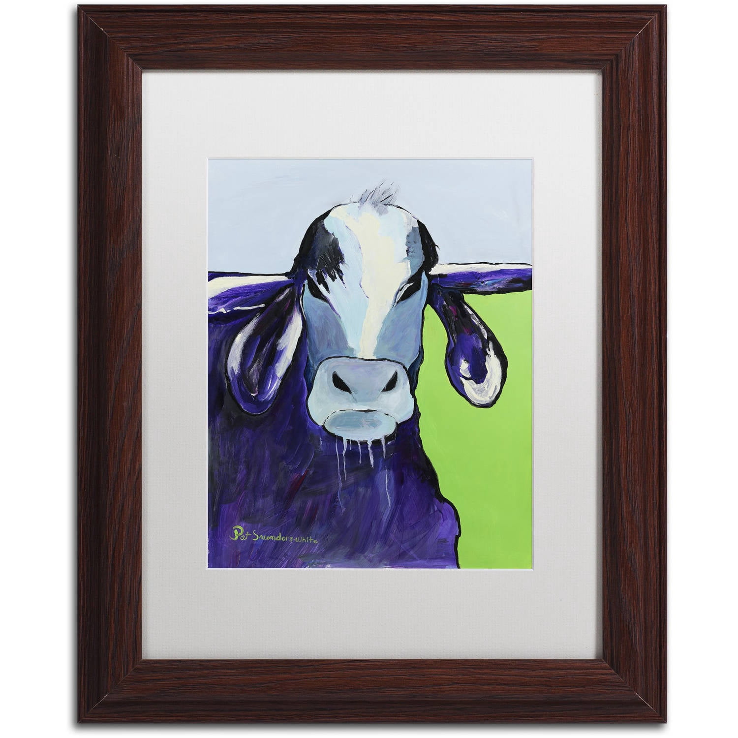 Trademark Fine Art "Bull Drool II" Canvas Art by Pat Saunders-White, White Matte, Wood Frame