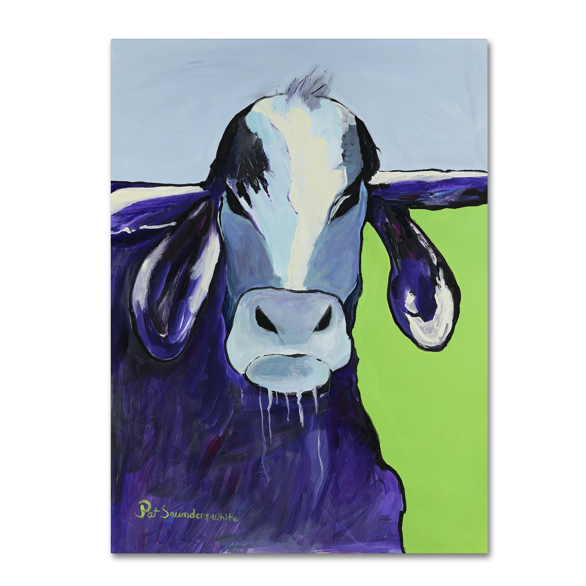 Trademark Fine Art "Bull Drool II" Canvas Art by Pat Saunders-White