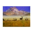 thumbnail image 1 of Trademark Fine Art 'Bull Elk Portrait' Canvas Art by Chris Vest, 1 of 4