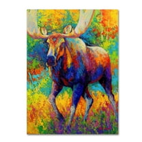 Trademark Fine Art 'Bull Moose' Canvas Art by Marion Rose