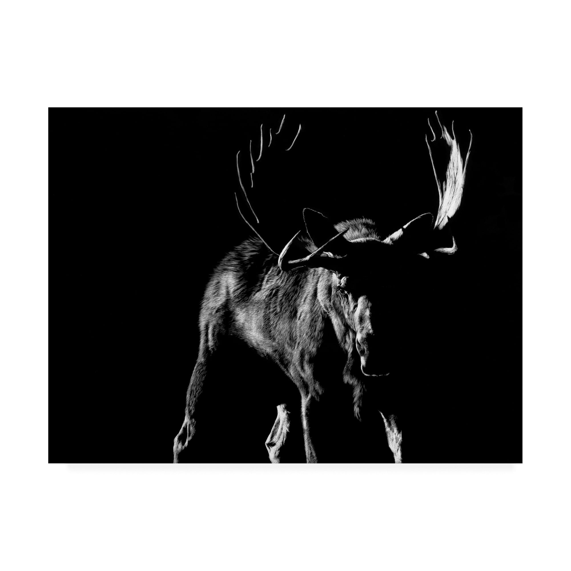 Trademark Fine Art 'Bullish' Canvas Art by Julie Chapman