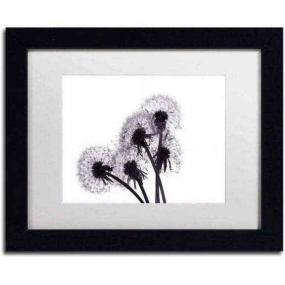 Trademark Fine Art "Bunch of Wishes" Canvas Art by Beata Czyzowska Young, White Matte, Black Frame