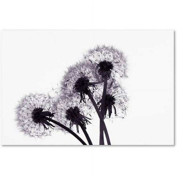 Trademark Fine Art Beata Czyzowska Young Bunch of Wishes Canvas Wall Art - 22x32