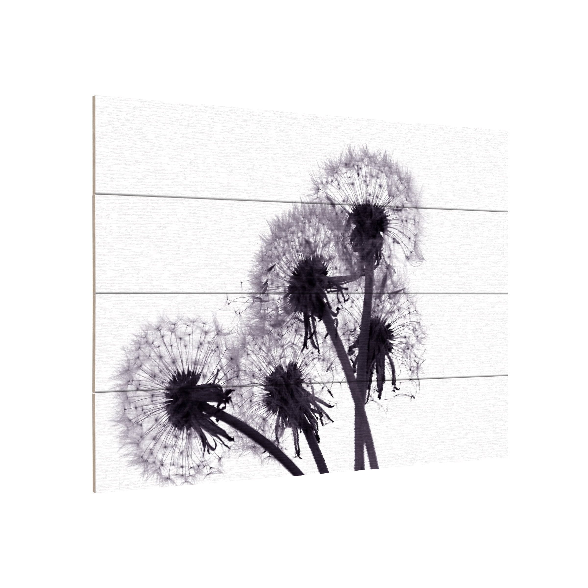 Modern Floral Dandelion Black and White Wood Canvas Art