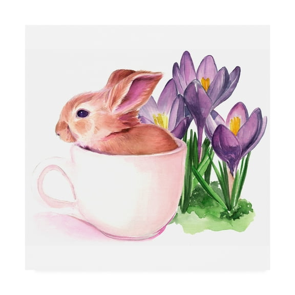 Trademark Fine Art 'Bunny Crossing I' Canvas Art by Jennifer Paxton Parker