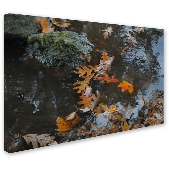 Trademark Fine Art "Buoyant" Canvas Art by Monica Fleet