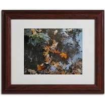 Trademark Fine Art "Buoyant" by Monica Fleet, Wood Frame
