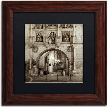 Trademark Fine Art "Burgos I" Canvas Art by Alan Blaustein, Black Matte, Wood Frame