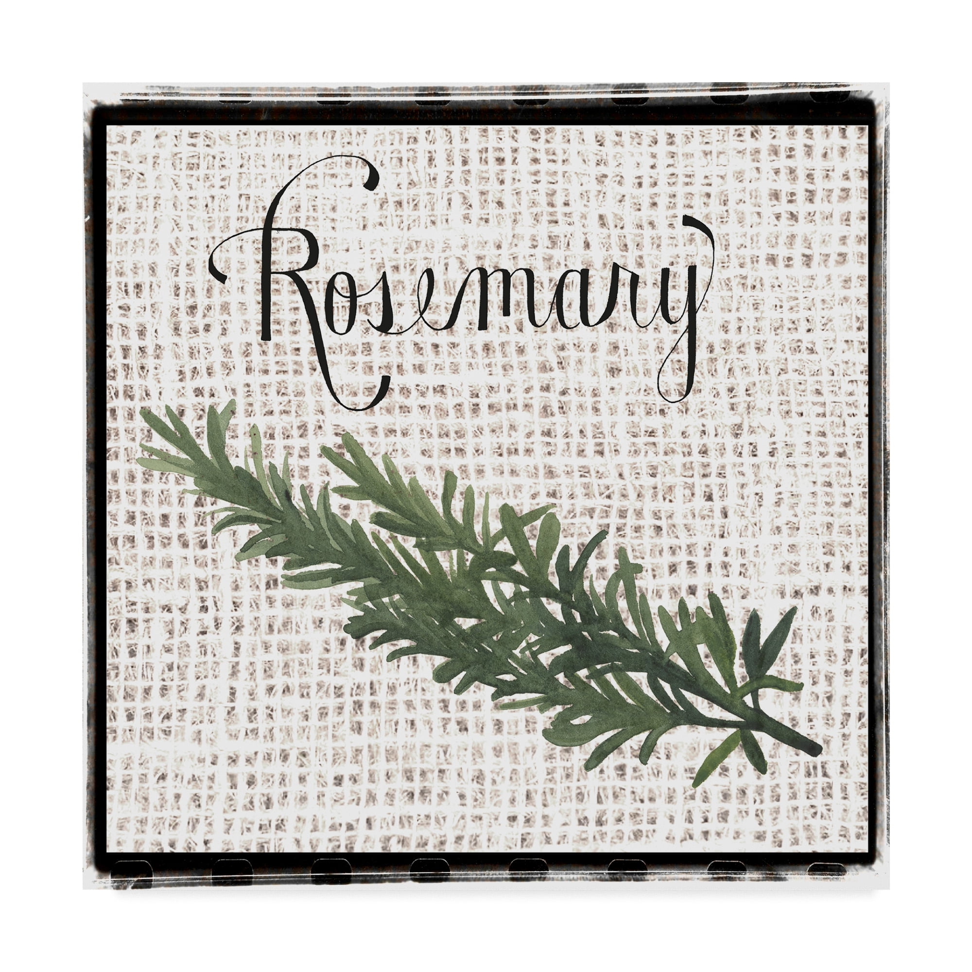 Trademark Fine Art 'Burlap Herbs I' Canvas Art by Grace Popp