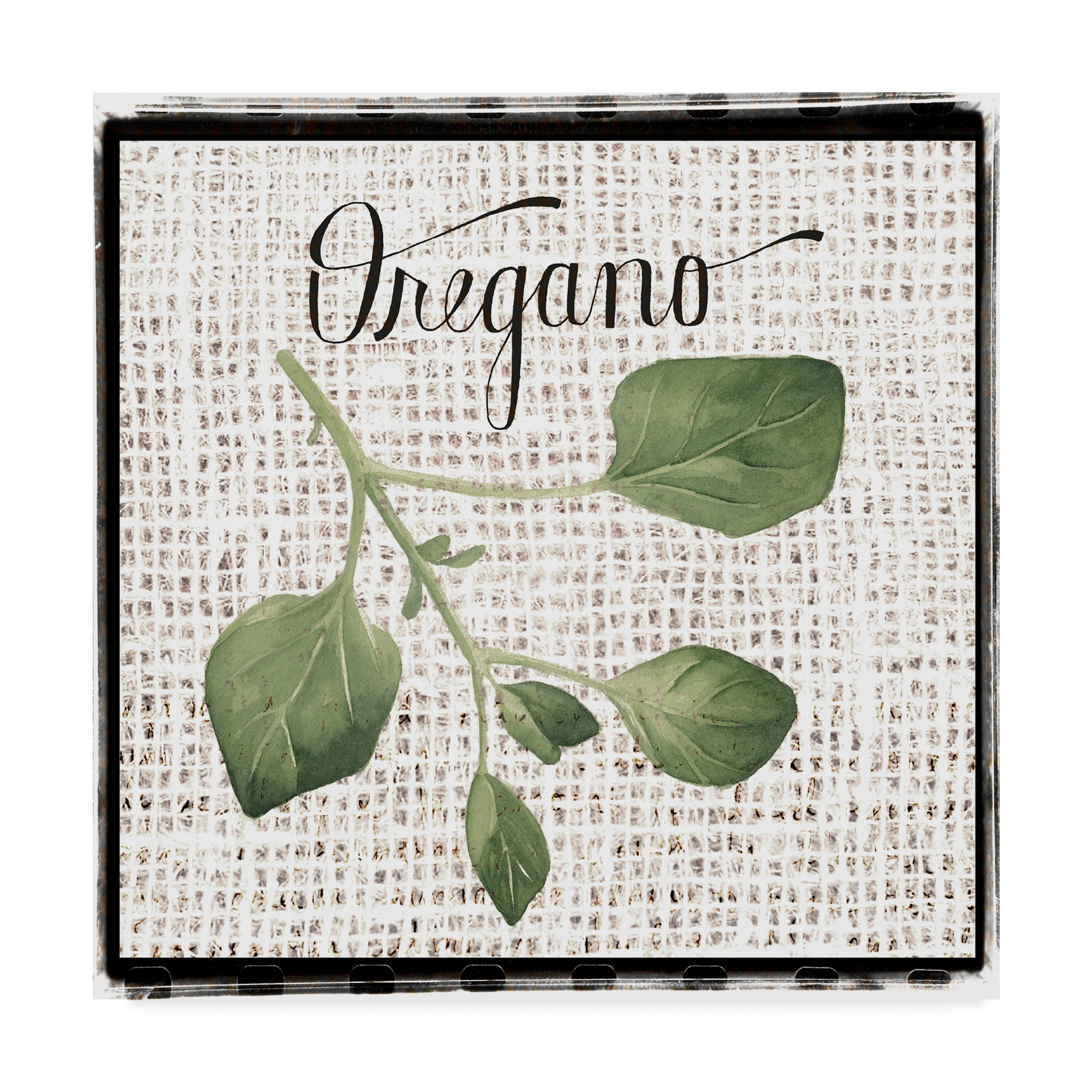 Trademark Fine Art 'Burlap Herbs II' Canvas Art by Grace Popp