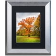 thumbnail image 1 of Trademark Fine Art "Burning Desire" Canvas Art by Philippe Sainte-Laudy Black Matte, Silver Frame, 1 of 1