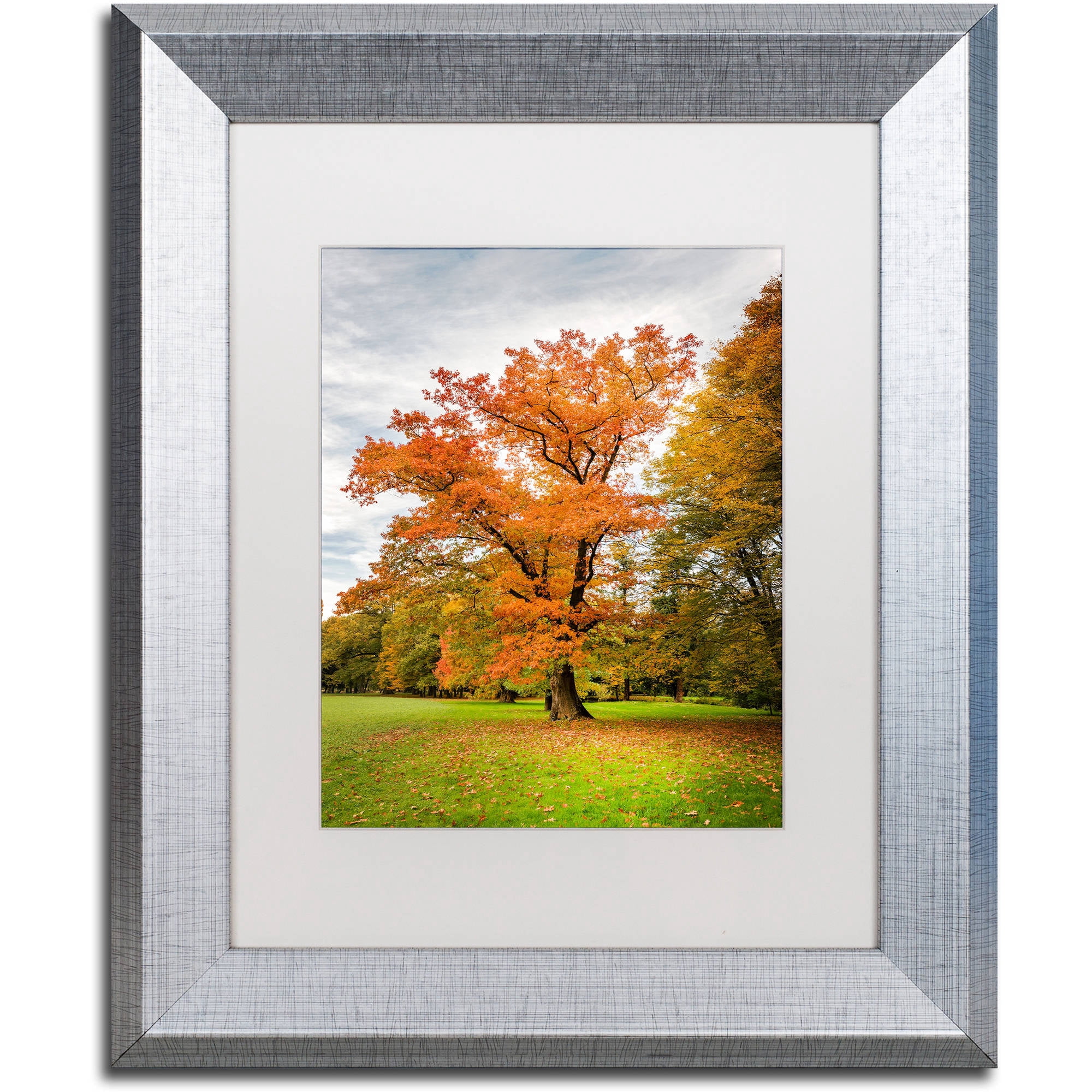 Trademark Fine Art "Burning Desire" Canvas Art by Philippe Sainte-Laudy White Matte, Silver Frame