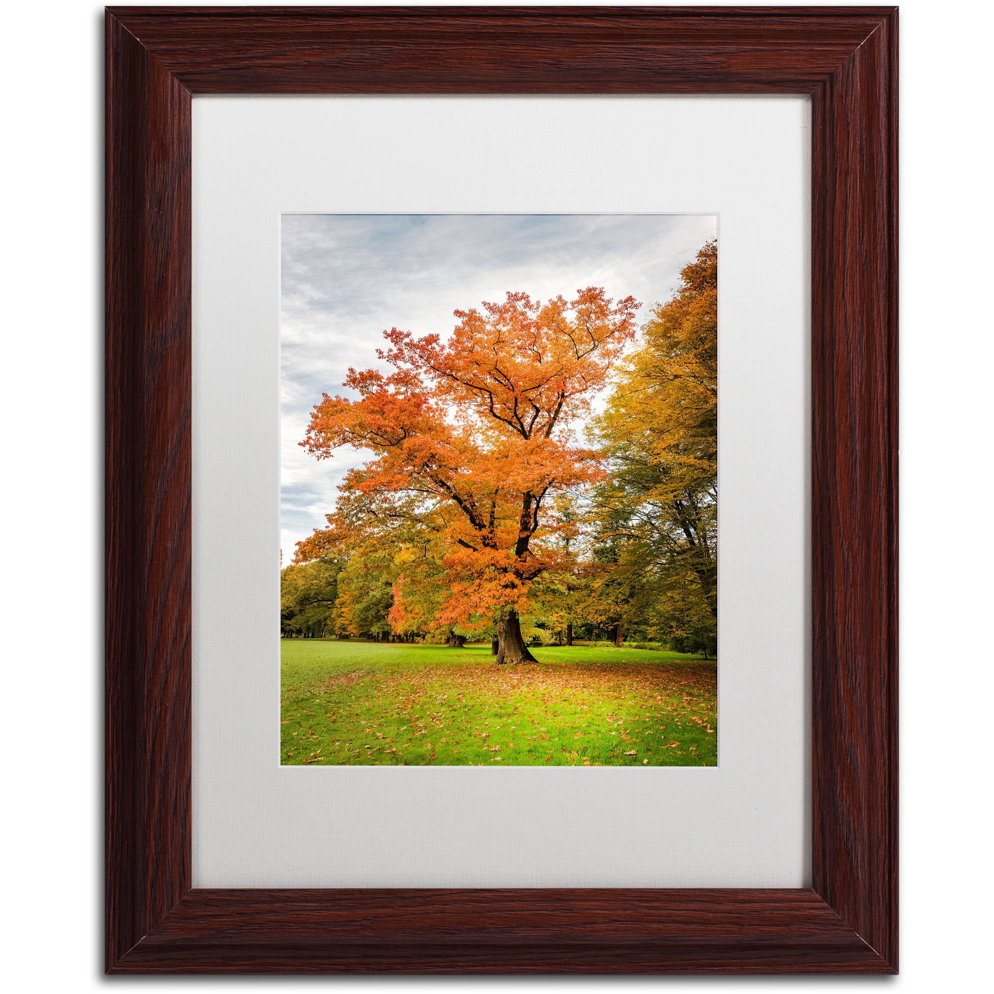 Trademark Fine Art "Burning Desire" Canvas Art by Philippe Sainte-Laudy White Matte, Wood Frame