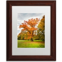 Trademark Fine Art "Burning Desire" Canvas Art by Philippe Sainte-Laudy White Matte, Wood Frame