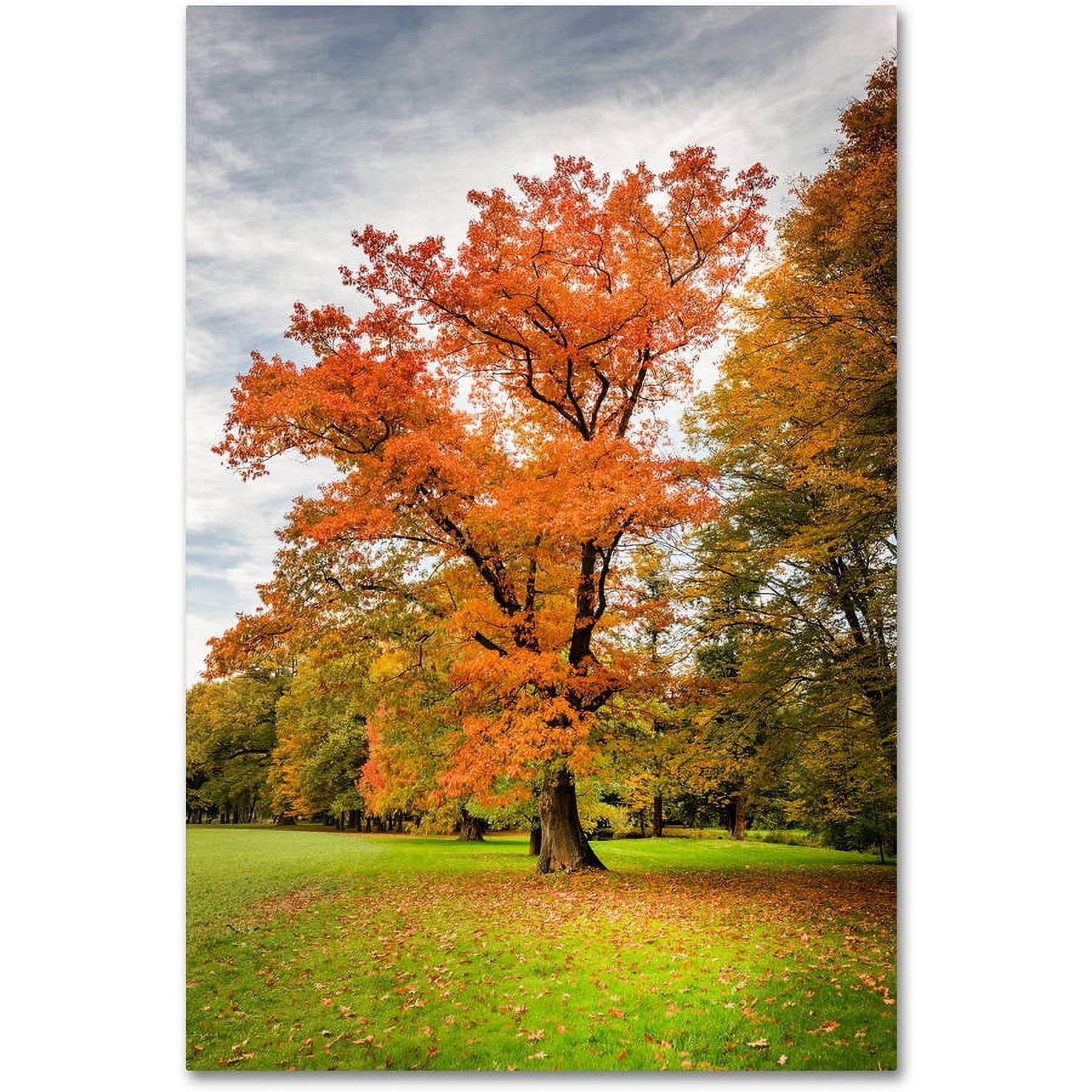 Trademark Fine Art "Burning Desire" Canvas Art by Philippe Sainte-Laudy
