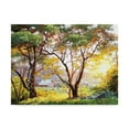 thumbnail image 1 of Trademark Fine Art 'Burnished Landscape' Canvas Art by Erin Dertner, 1 of 4