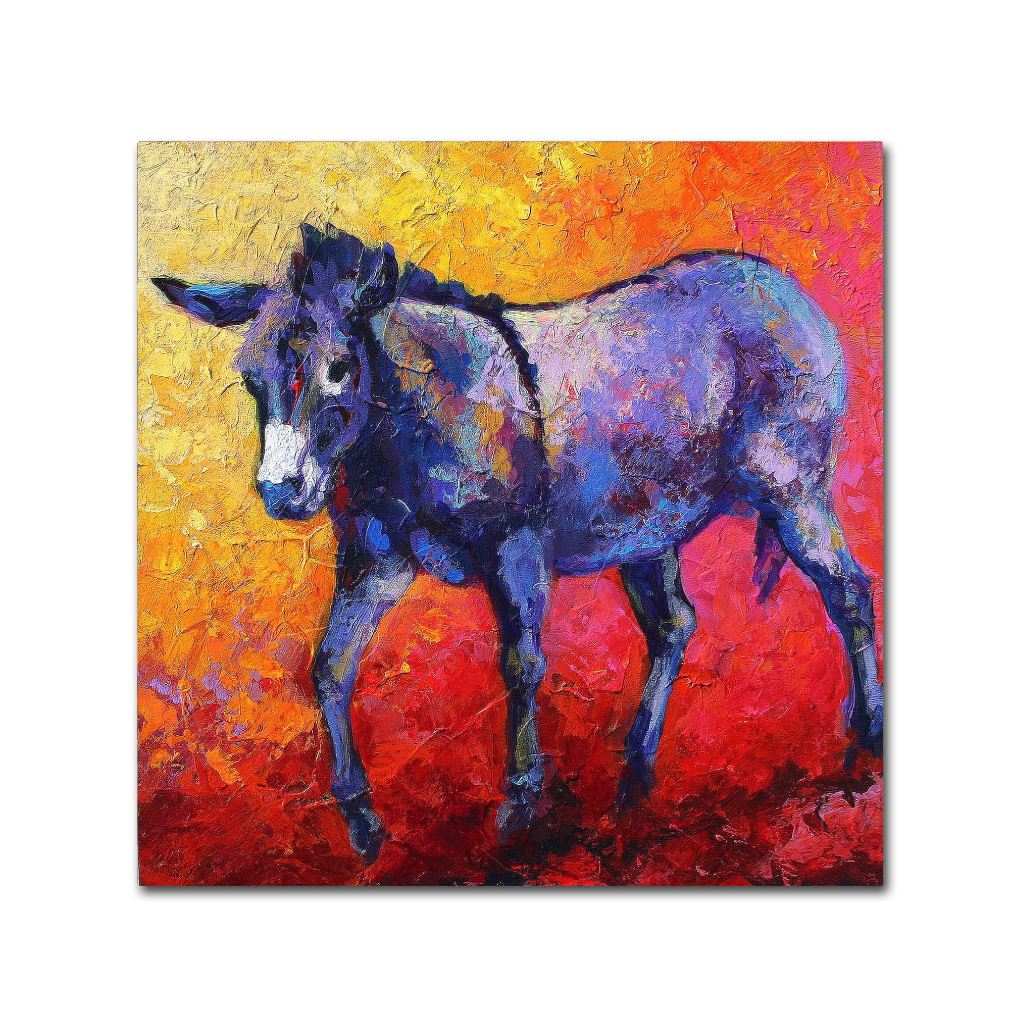 Trademark Fine Art Burro II Canvas Art - 24 x 32 Donkey Painting