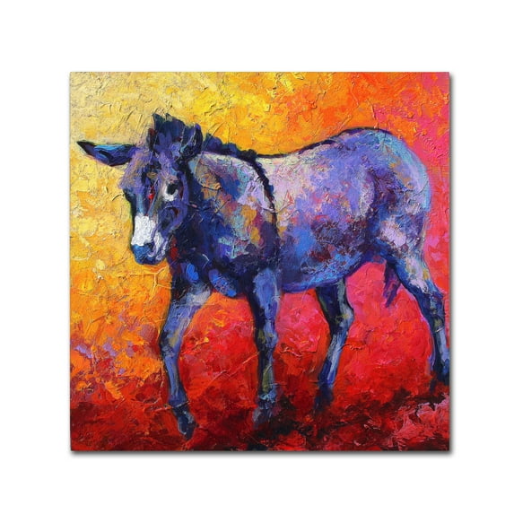 Trademark Fine Art 'Burro II' Canvas Art by Marion Rose
