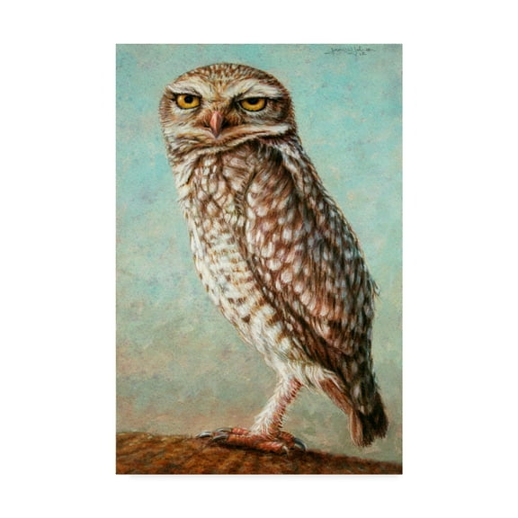Trademark Fine Art 'Burrowing Owl' Canvas Art by James W. Johnson