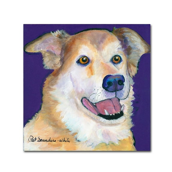 Trademark Fine Art "Burt" Canvas Art by Pat Saunders-White