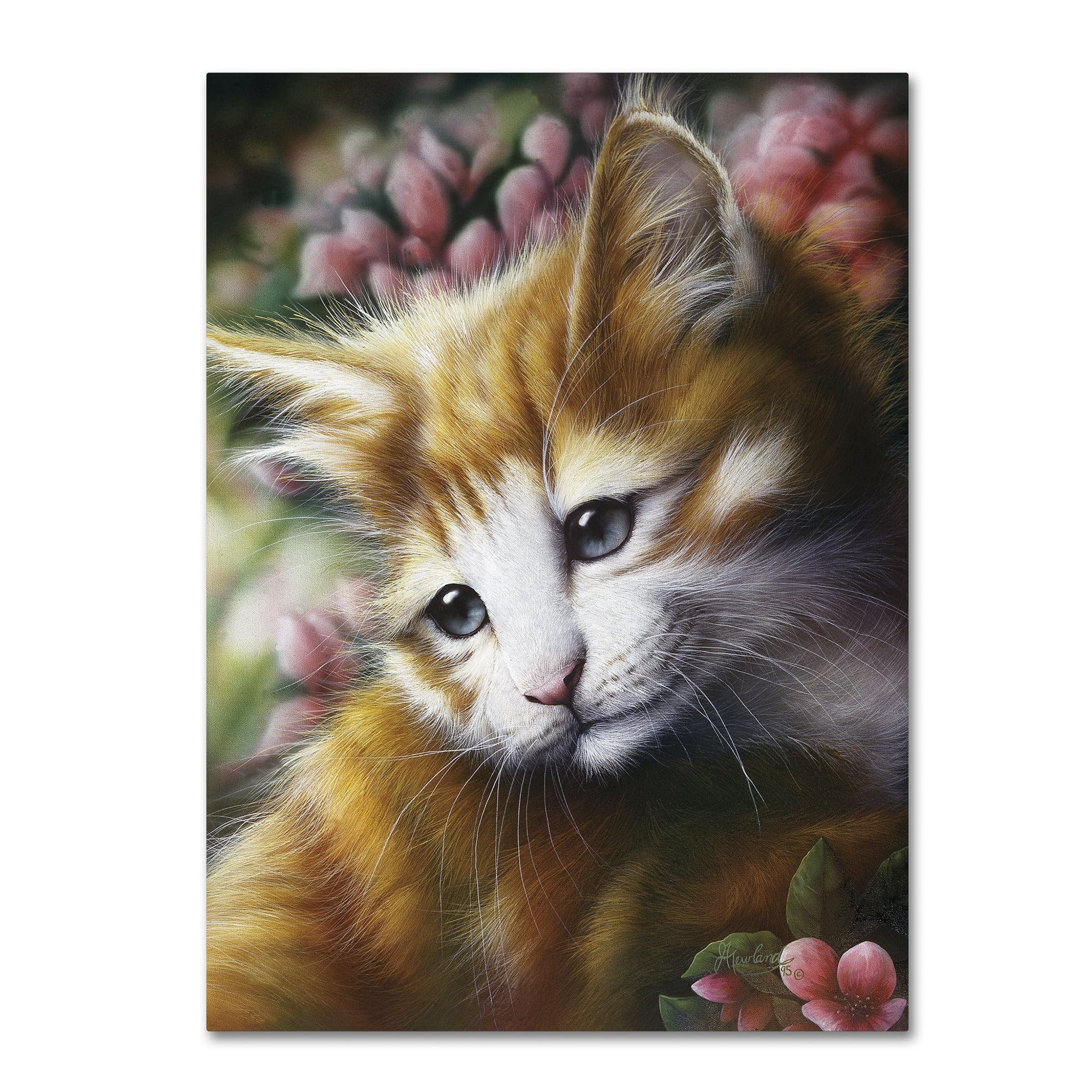 Trademark Fine Art 'Buttercup' Canvas Art by Jenny Newland