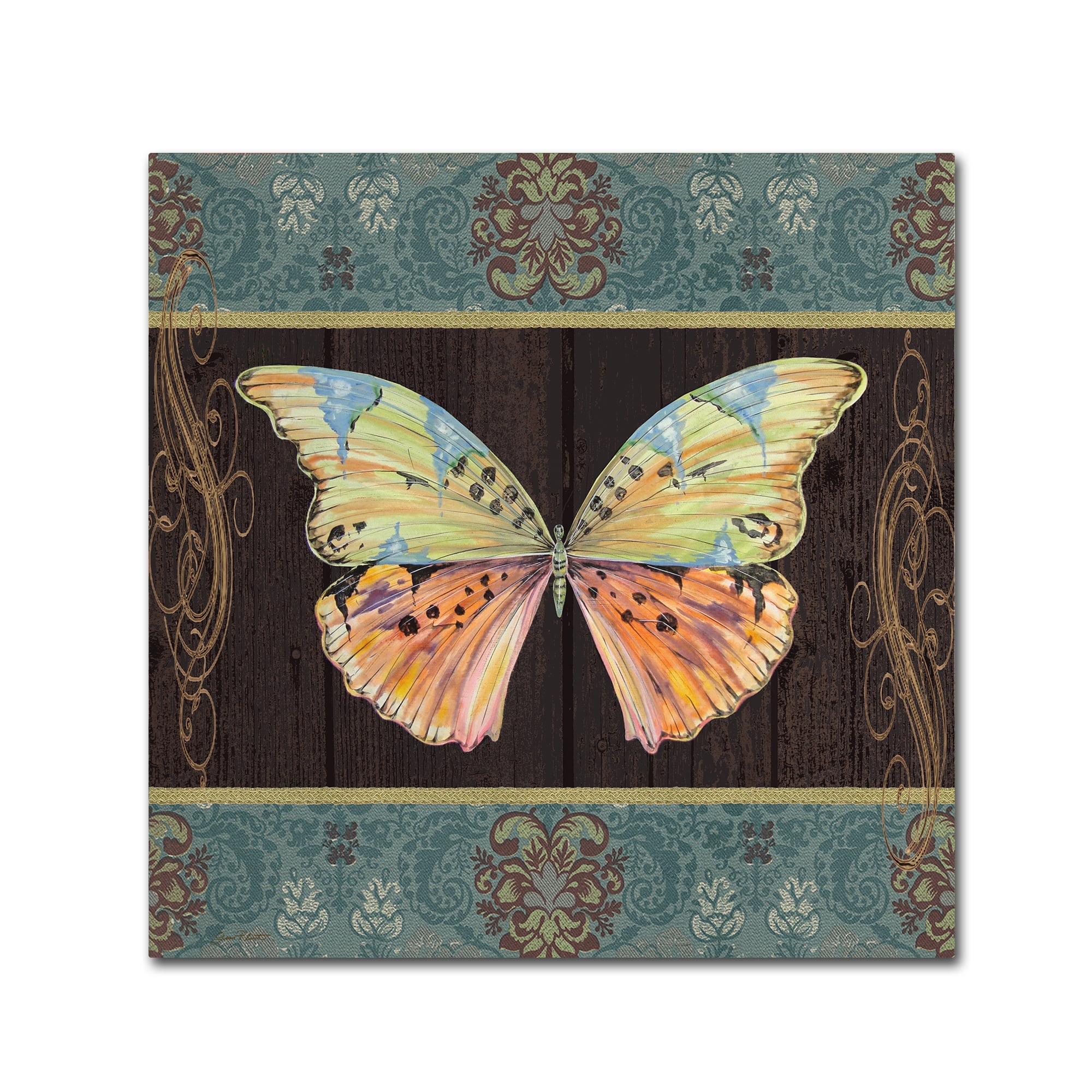 Trademark Fine Art 'Butterflies 2' Canvas Art by Jean Plout