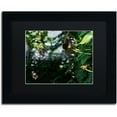 thumbnail image 1 of Trademark Fine Art "Butterflies in Flight" Canvas Art by Kurt Shaffer, Black Matte, Black Frame, 1 of 1