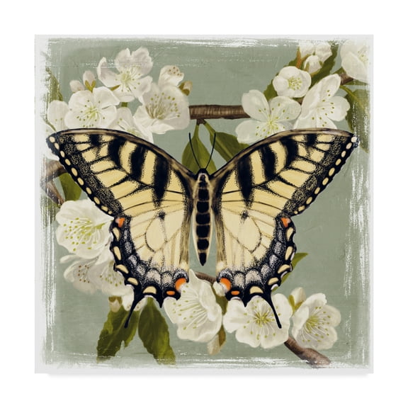 Trademark Fine Art 'Butterfly Branch II' Canvas Art by Victoria Borges