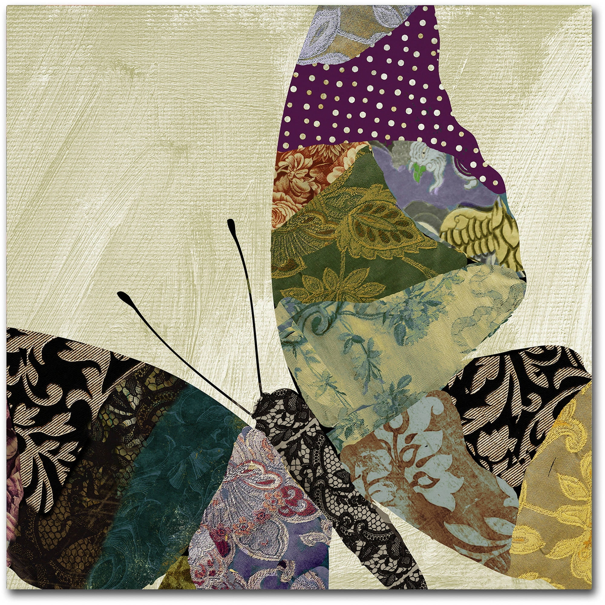 Trademark Fine Art "Butterfly Brocade I" Canvas Art by Color Bakery