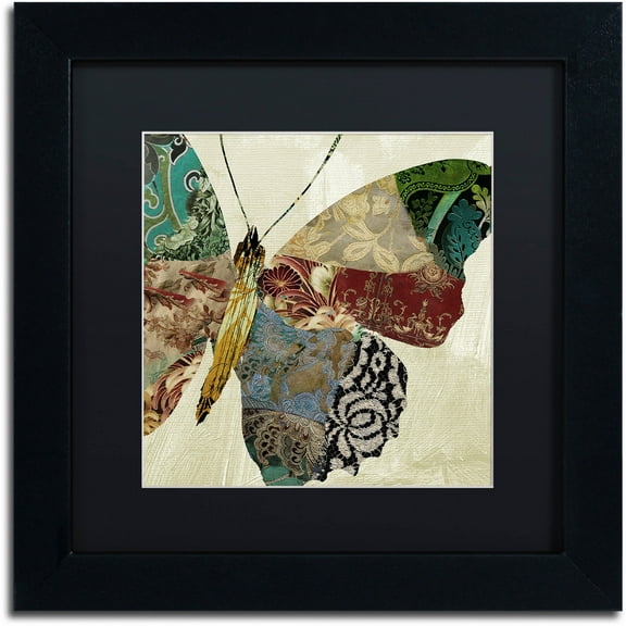 Trademark Fine Art "Butterfly Brocade II" Canvas Art by Color Bakery Black Matte, Black Frame