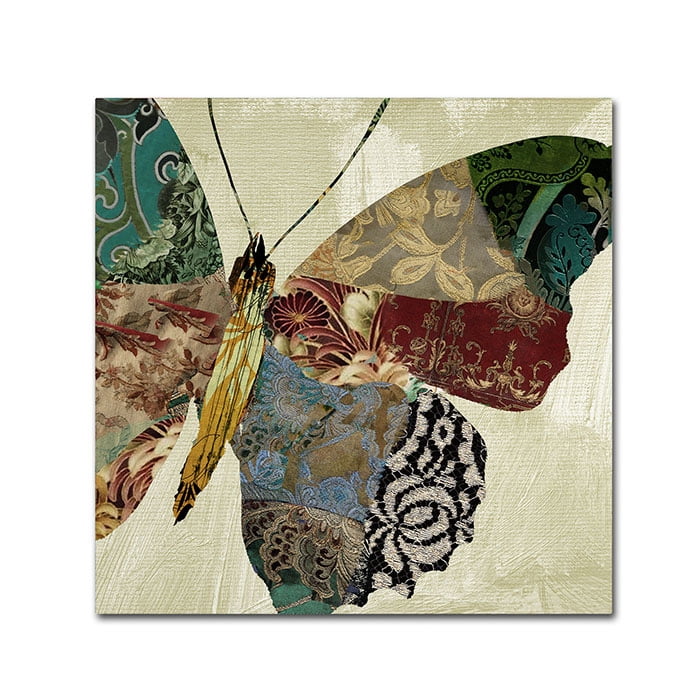 Trademark Fine Art "Butterfly Brocade II" Canvas Art by Color Bakery