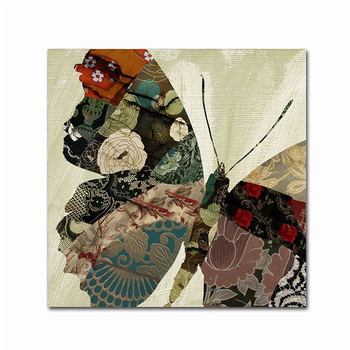 Trademark Fine Art "Butterfly Brocade III" Canvas Art by Color Bakery