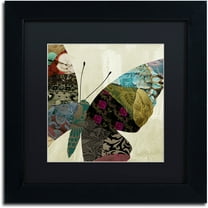 Trademark Fine Art "Butterfly Brocade IV" Canvas Art by Color Bakery Black Matte, Black Frame
