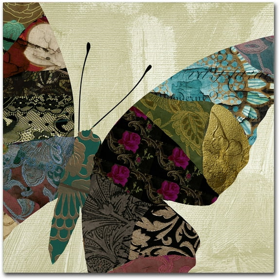 Trademark Fine Art "Butterfly Brocade IV" Canvas Art by Color Bakery