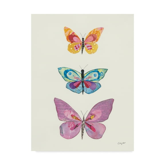 Trademark Fine Art 'Butterfly Charts III' Canvas Art by Courtney Prahl