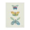 thumbnail image 1 of Trademark Fine Art 'Butterfly Charts IV' Canvas Art by Courtney Prahl, 1 of 4