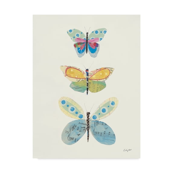 Trademark Fine Art 'Butterfly Charts IV' Canvas Art by Courtney Prahl