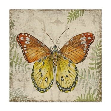 Trademark Fine Art 'Butterfly Daydreams 3' Canvas Art by Jean Plout