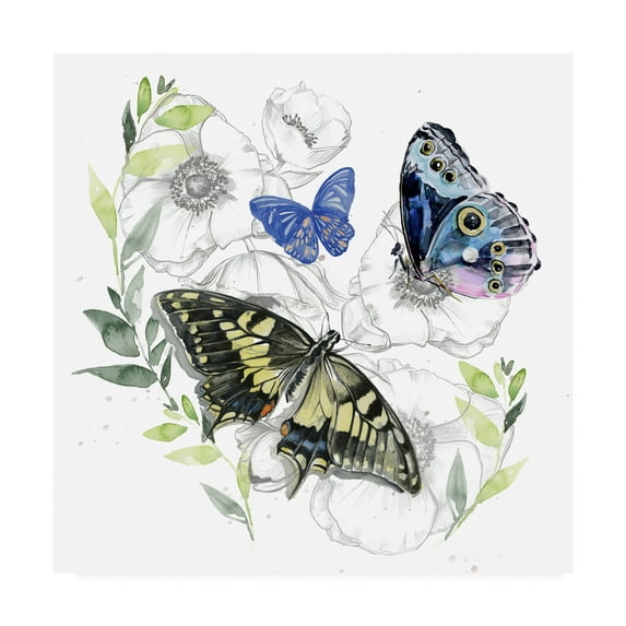 Trademark Fine Art 'Butterfly Floral I' Canvas Art by Jennifer Paxton Parker