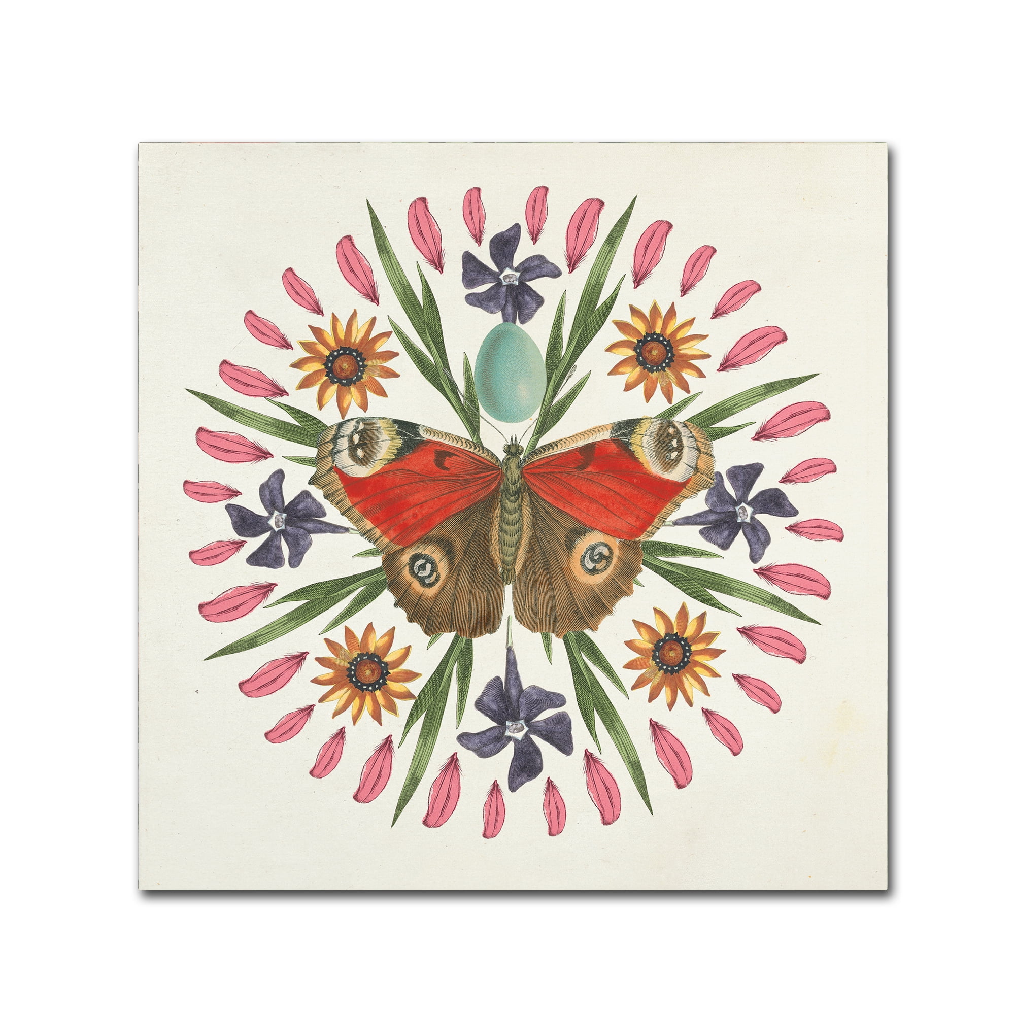 Trademark Fine Art 'Butterfly Mandala II' Canvas Art by Wild Apple Portfolio