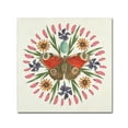 thumbnail image 1 of Trademark Fine Art 'Butterfly Mandala II' Canvas Art by Wild Apple Portfolio, 1 of 4