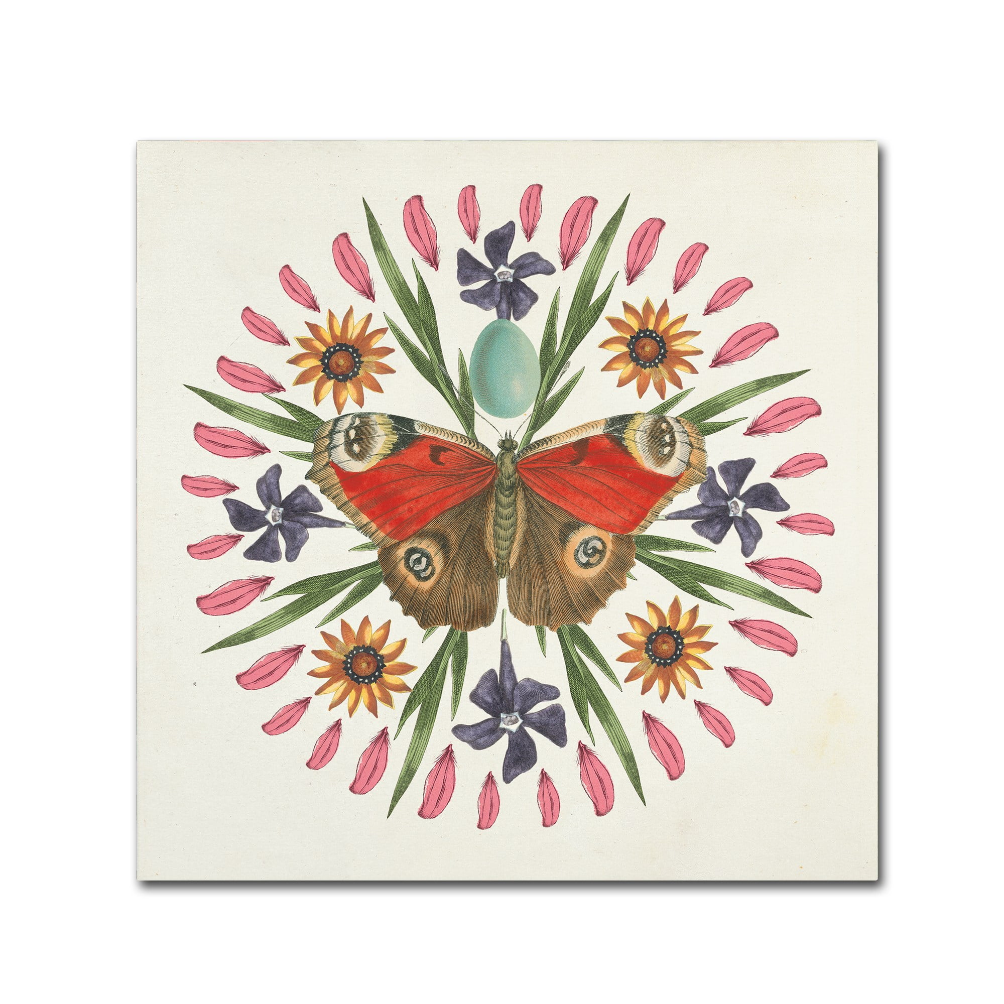 Trademark Fine Art 'Butterfly Mandala II' Canvas Art by Wild Apple Portfolio
