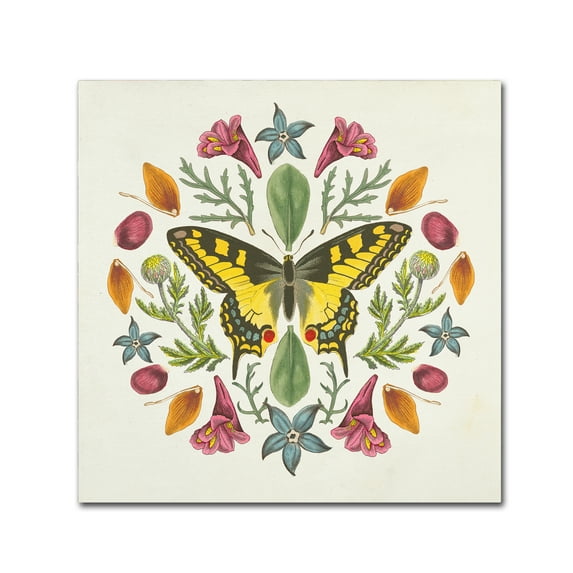 Trademark Fine Art 'Butterfly Mandala III' Canvas Art by Wild Apple Portfolio