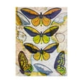 thumbnail image 1 of Trademark Fine Art 'Butterfly Map I' Canvas Art by John Butler, 1 of 4