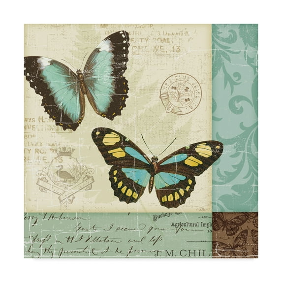 Trademark Fine Art 'Butterfly Patchwork II' Canvas Art by Pela Studio